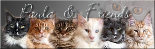 paula-and-friends-banner